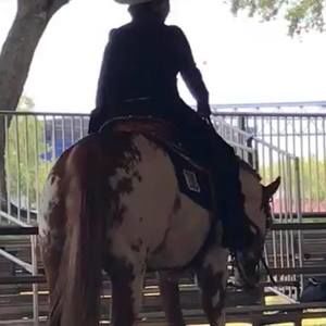 Meet your Posher, Cathy